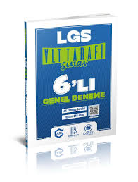 Arı - Lgs 6 lı Genel Deneme Alt Tarafı Sınav